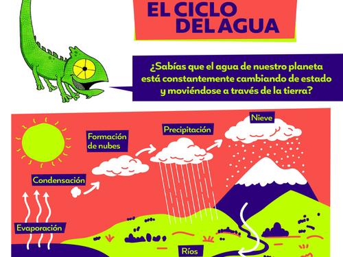 el camaleon