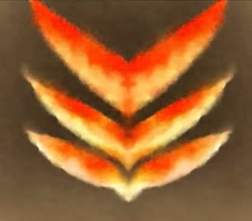 dall angelo pictures confusion