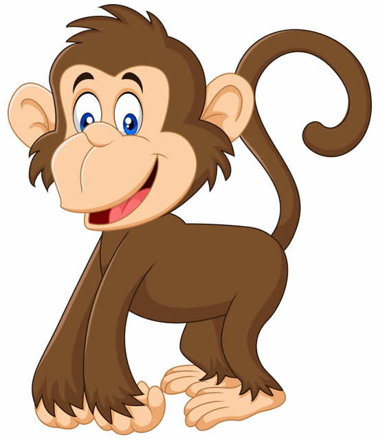 macaco Jigsaw Puzzle Online - Jigsaw 365