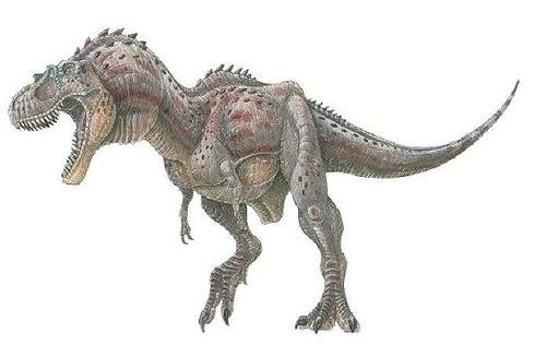 Gorgosaurus