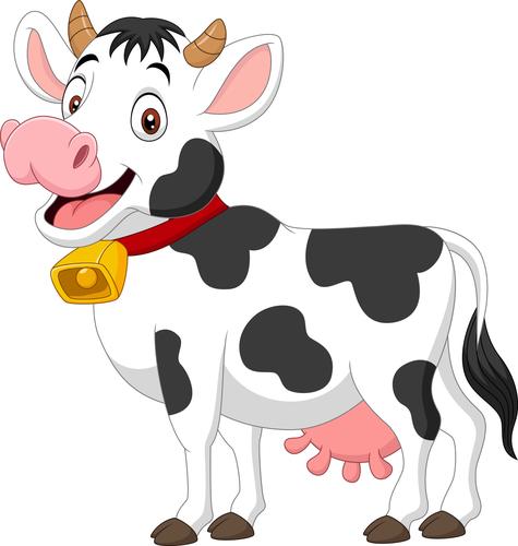 vaca