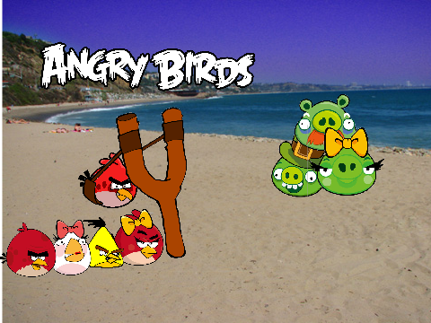 angry birds