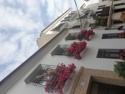 Patios