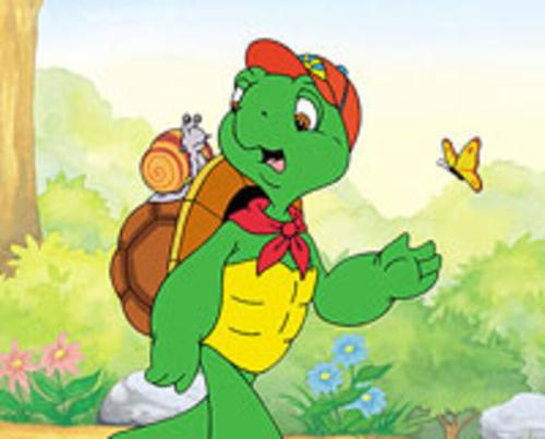 Franklin 8