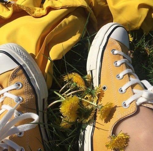 Kicks and Blooms