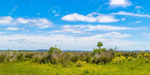 Pradera