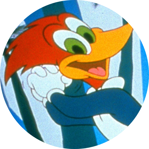 New Woody Woodpecker Show 9
