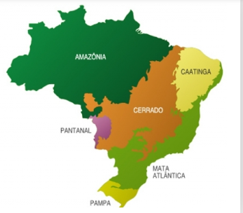 BIOMAS DO BRASIL