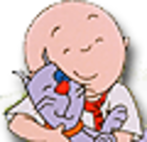 Caillou 19