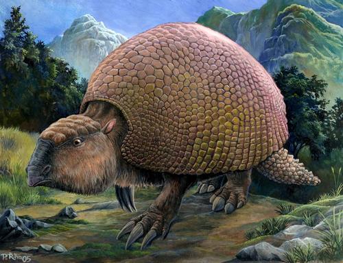 Glyptodonte