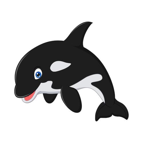 Orca