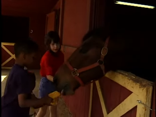 Feeding the Horse