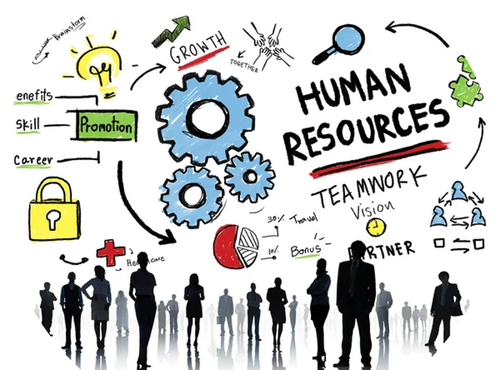 Human Resources team work