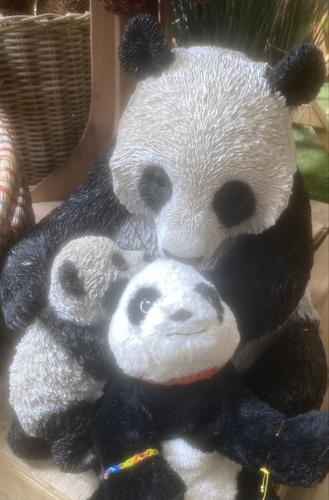 my fur baby Panda Lily and Panda statuses
