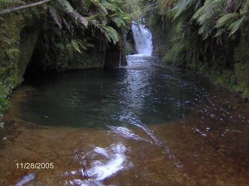 Forest Pool