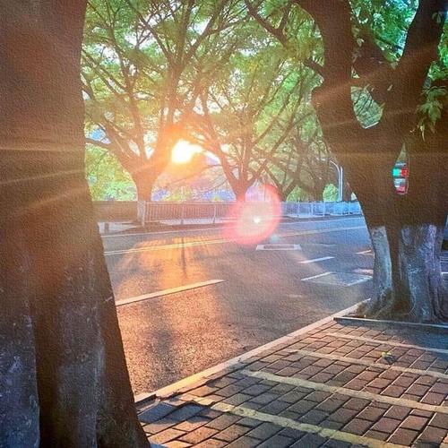 A New Day's Beginning