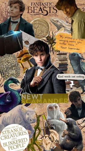 Fantastic Beasts Newt