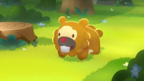 Bidoof