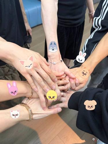 skz hands