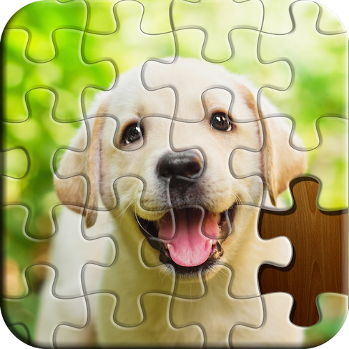 puzzle breakout