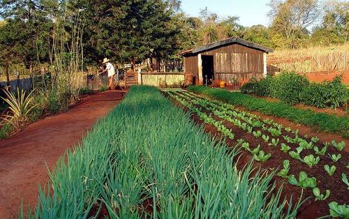 Agricultura familiar