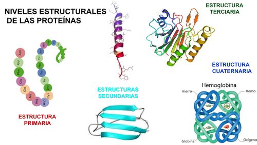 EstruProte