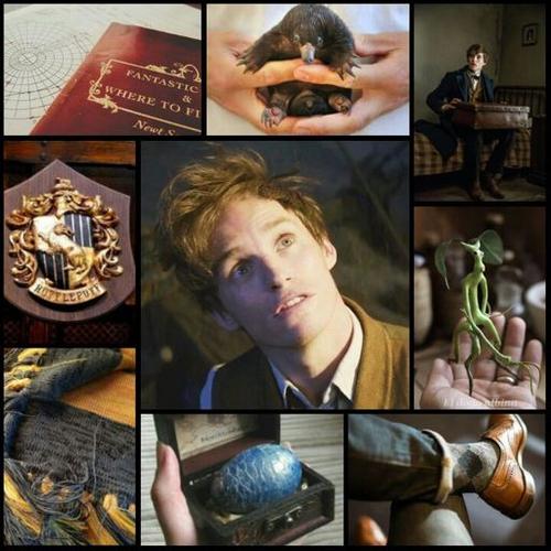 Newt Scamander