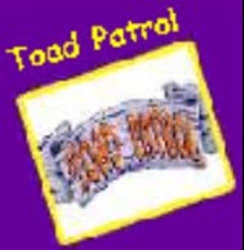 Toad Patrol 6
