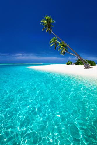 Beautiful Lagoon tropical Hot Beach