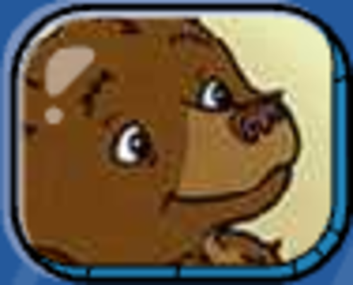 Little Bear 9