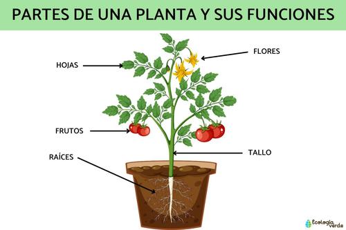 Natural foods