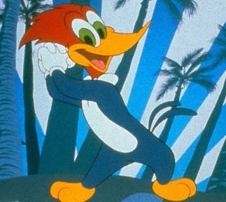 New Woody Woodpecker Show 3