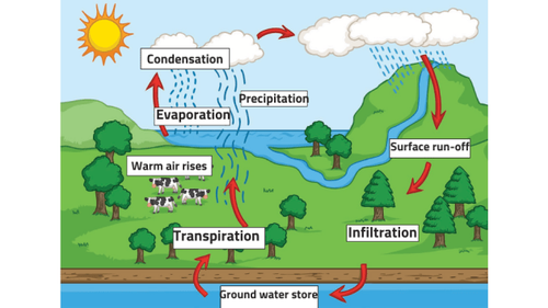 watercycle