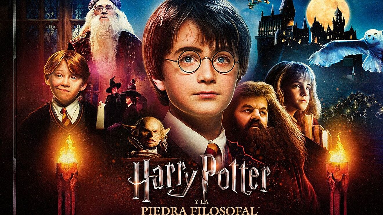 harry potter  Harry potter, Potter, Harry
