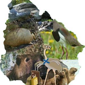 Animales de la pradera