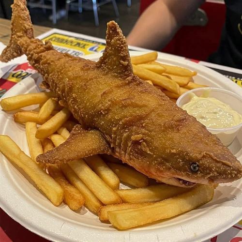 Crispy Fried Shark Meal
