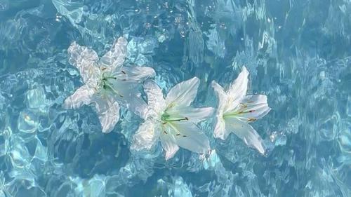 azul agua e flor