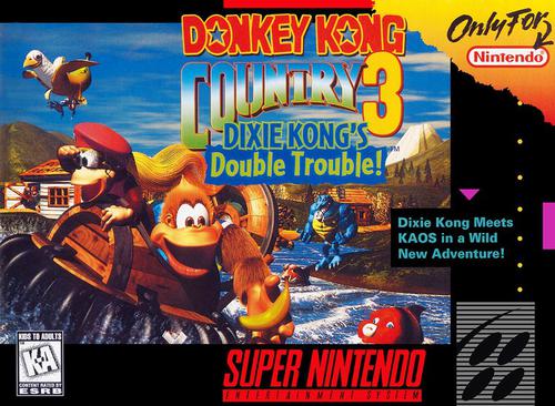 Donkey Kong Country 3 Cover
