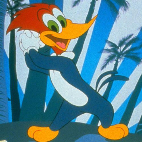 New Woody Woodpecker Show 5