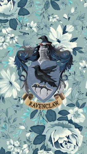 Reto ravenclaw