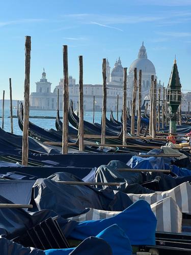 Venezia