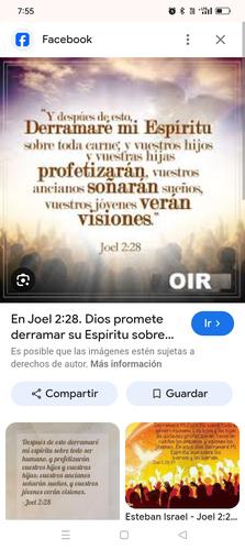 Joel 228