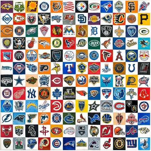 Every Sports Logo