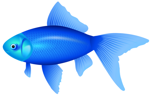 Peixinho Azul