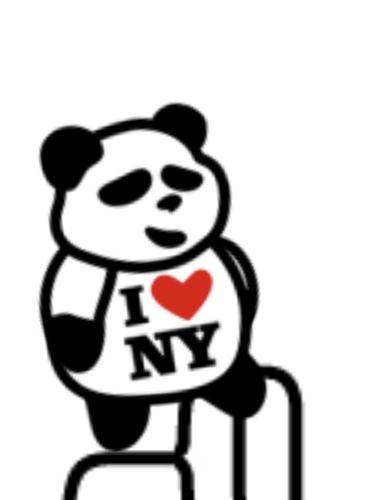 Bright the Panda