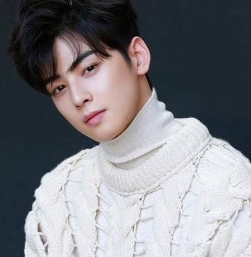 Cha Eun Woo