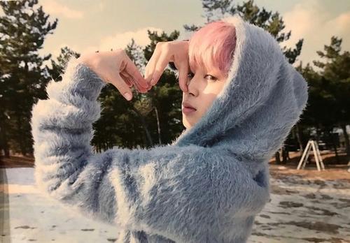 BTS Jimin Pink Hair