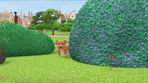 Dog