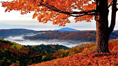 autumnal mountains