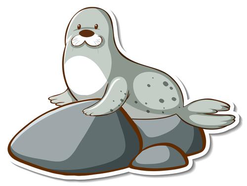 foca